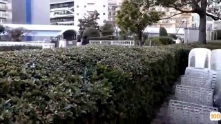 91popn国产在线精品,成人视频高清免费观看